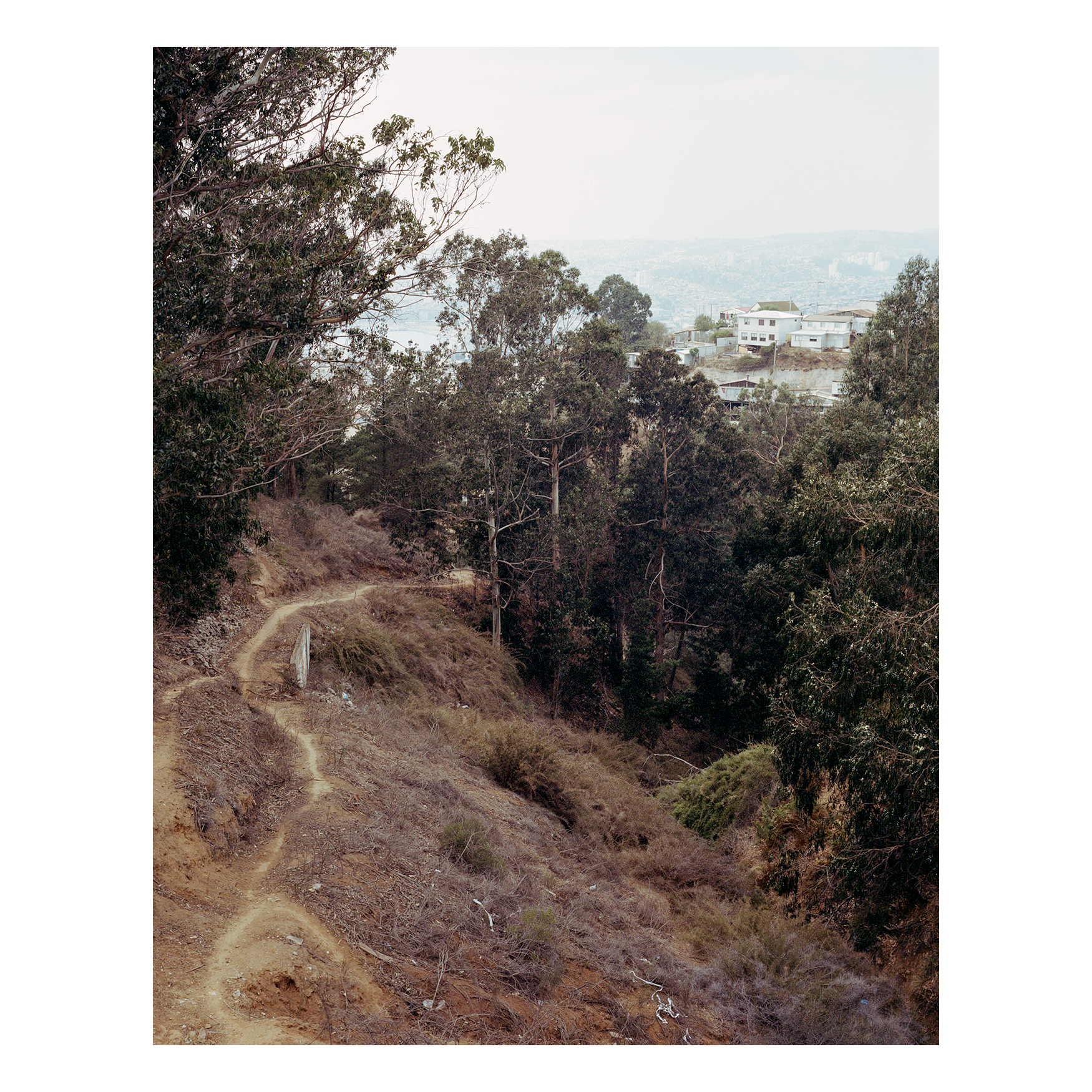 El Incierto Otoño