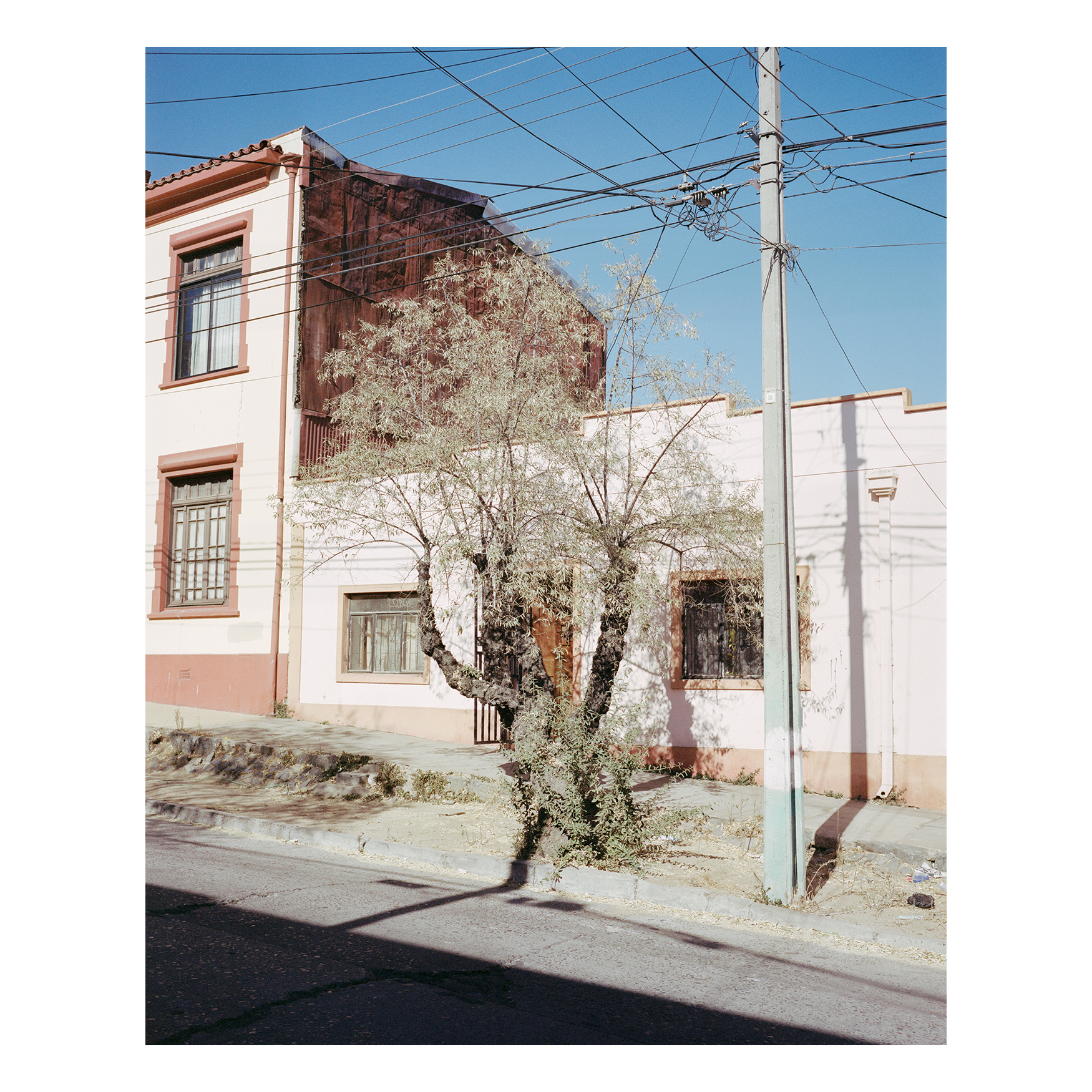El Incierto Otoño